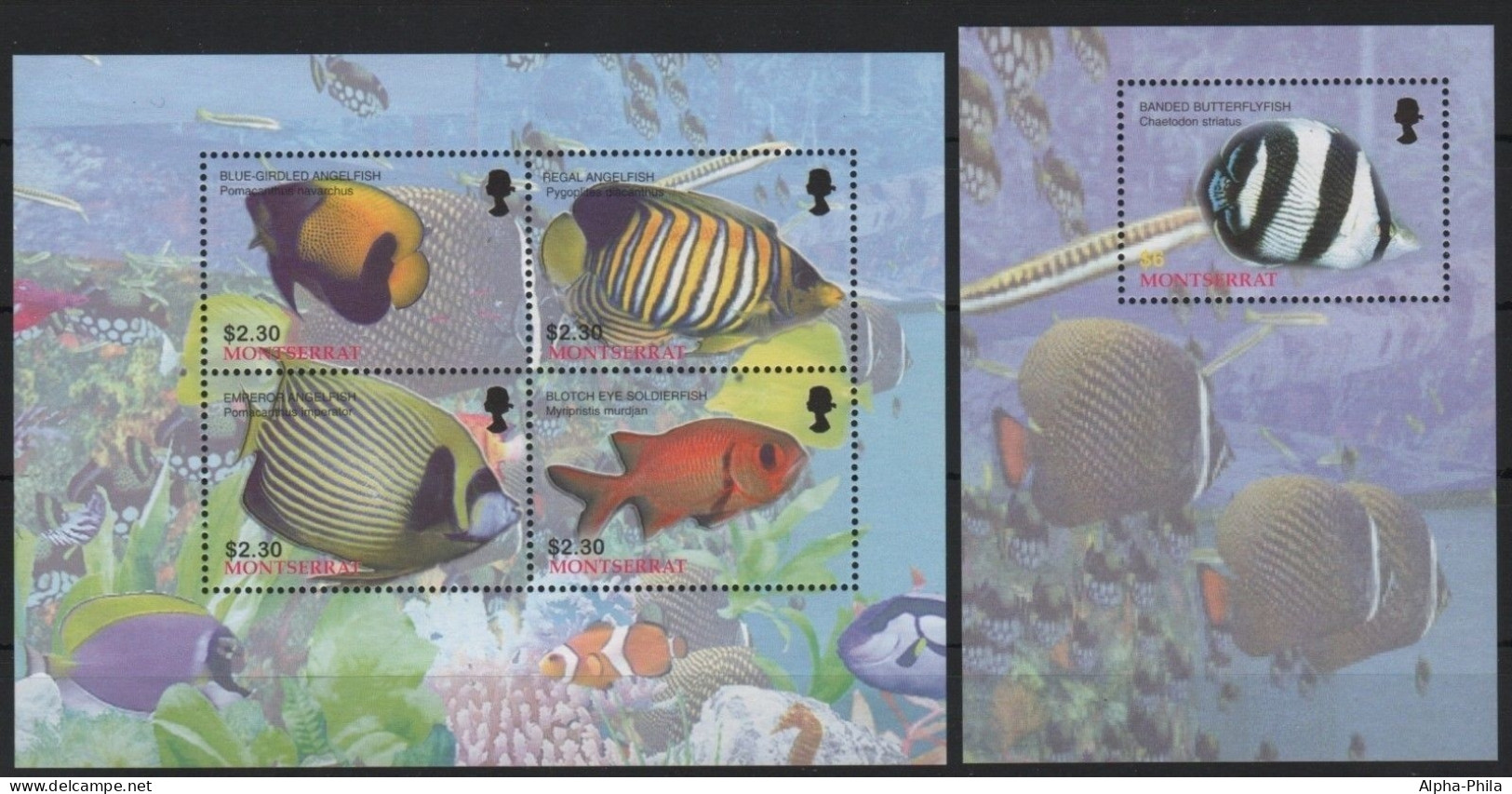 Montserrat 2004 - Mi-Nr. 1244-1247 & Block 102 ** - MNH - Fische / Fish - Montserrat