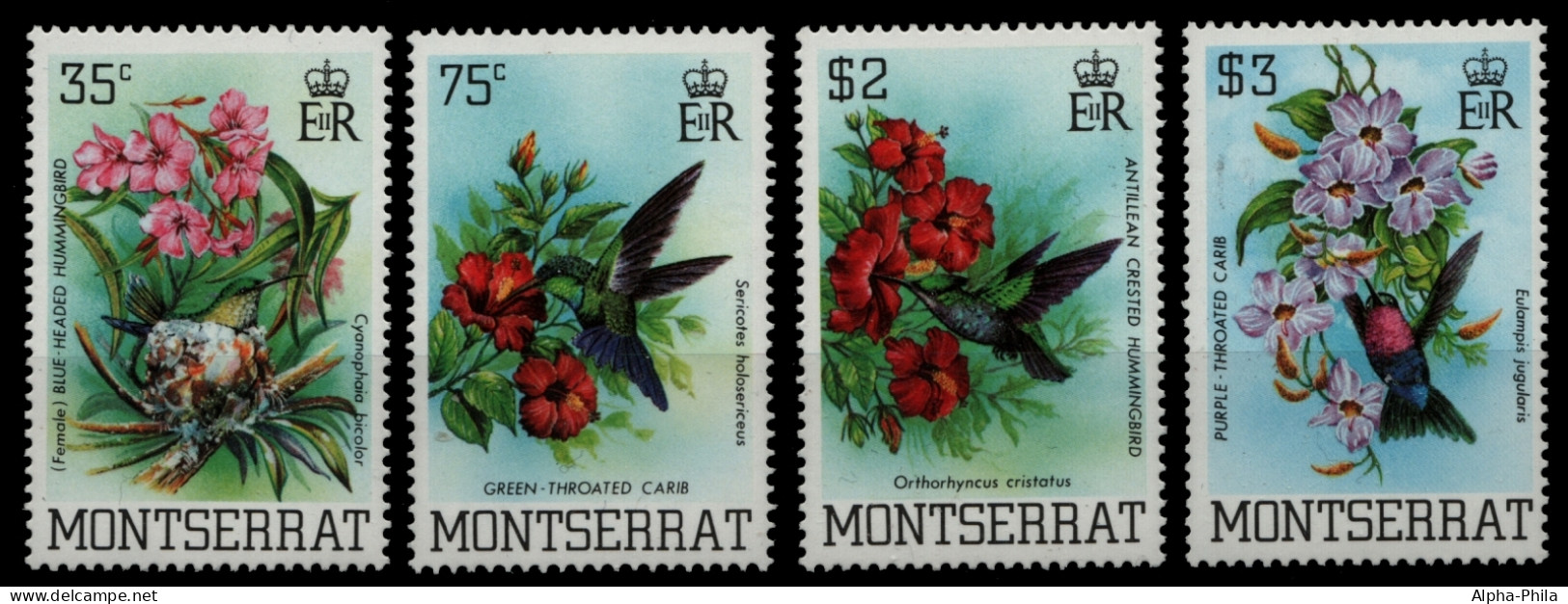Montserrat 1983 - Mi-Nr. 507-510 ** - MNH - Vögel / Birds - Kolibris - Montserrat