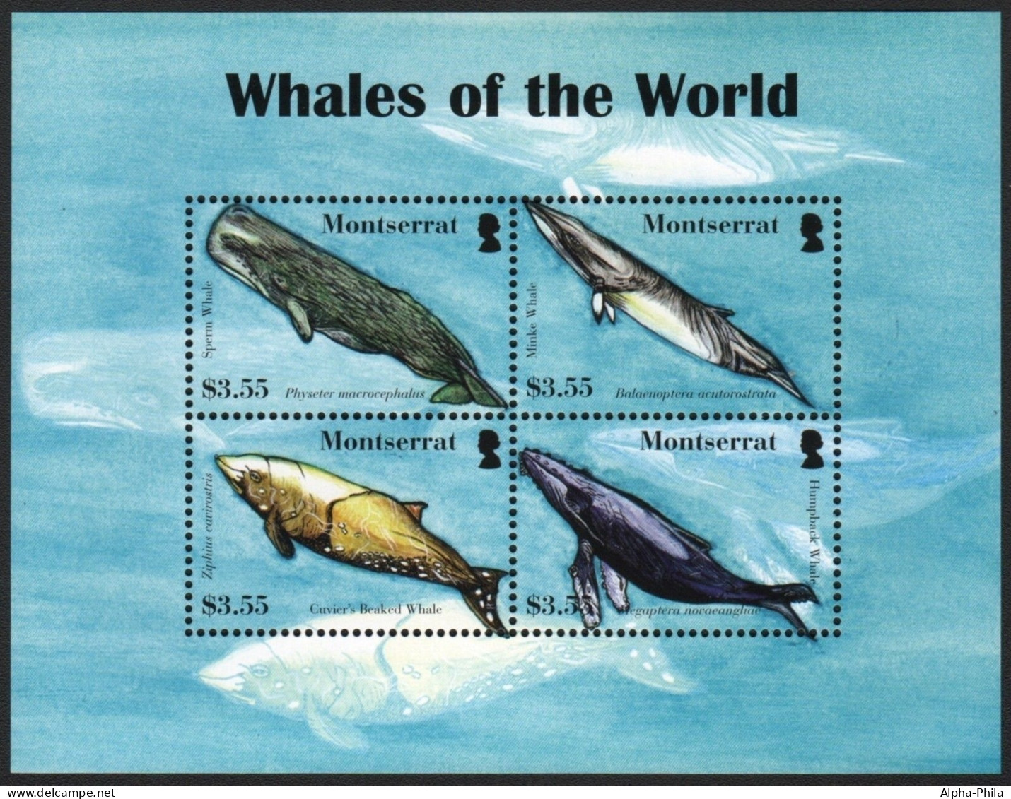 Montserrat 2008 - Mi-Nr. 1403-1406 ** - MNH - Wale / Whales - Montserrat