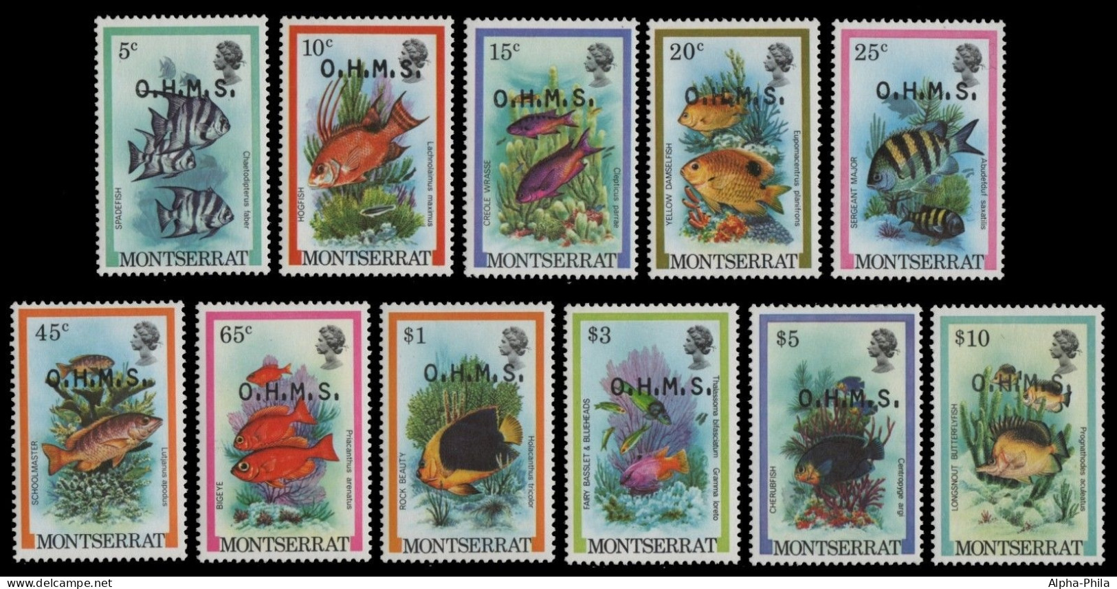 Montserrat 1981 - Mi-Nr. Dienst 32-42 ** - MNH - Fische / Fish - Montserrat