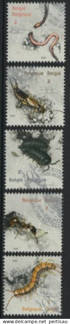 Verborgen Bodemleven Zegels Met Uitgiftestempel 2023 - Used Stamps