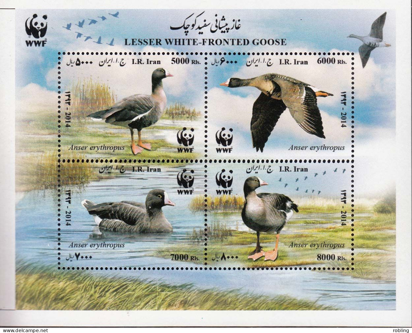 Iran 2015  Birds /WWF Bl.1v.MNH 21850 - Albatrosse & Sturmvögel