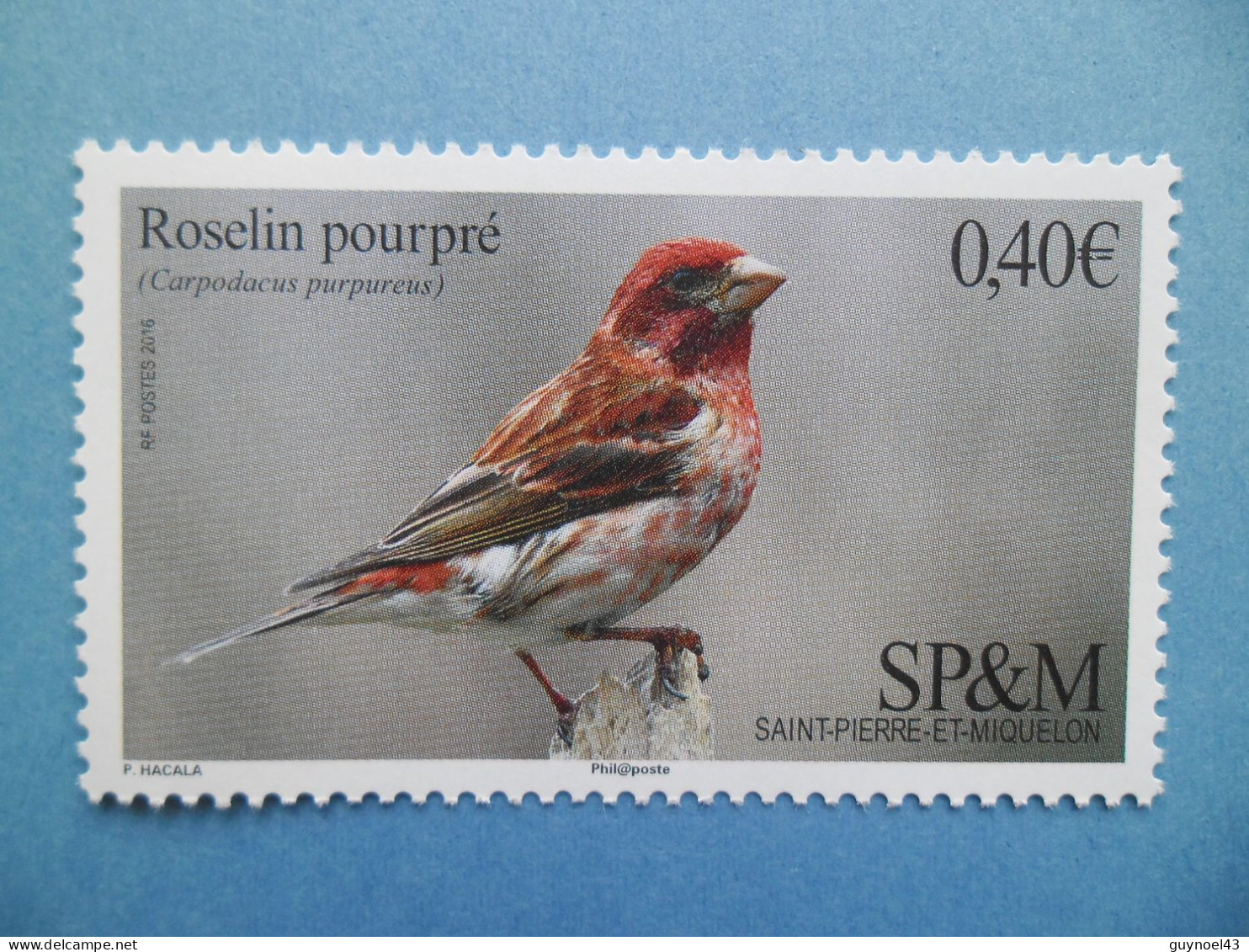 SPM 2016 Y/T 1148 " Oiseaux " Neuf** - Unused Stamps