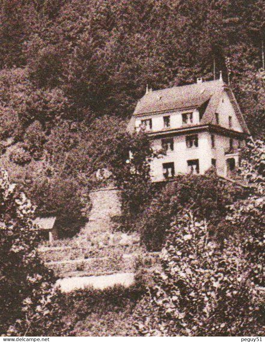 Luxembourg. Clervaux. Pension Les Bruyères Et L'abbaye Saint-Maurice (1910) - Clervaux