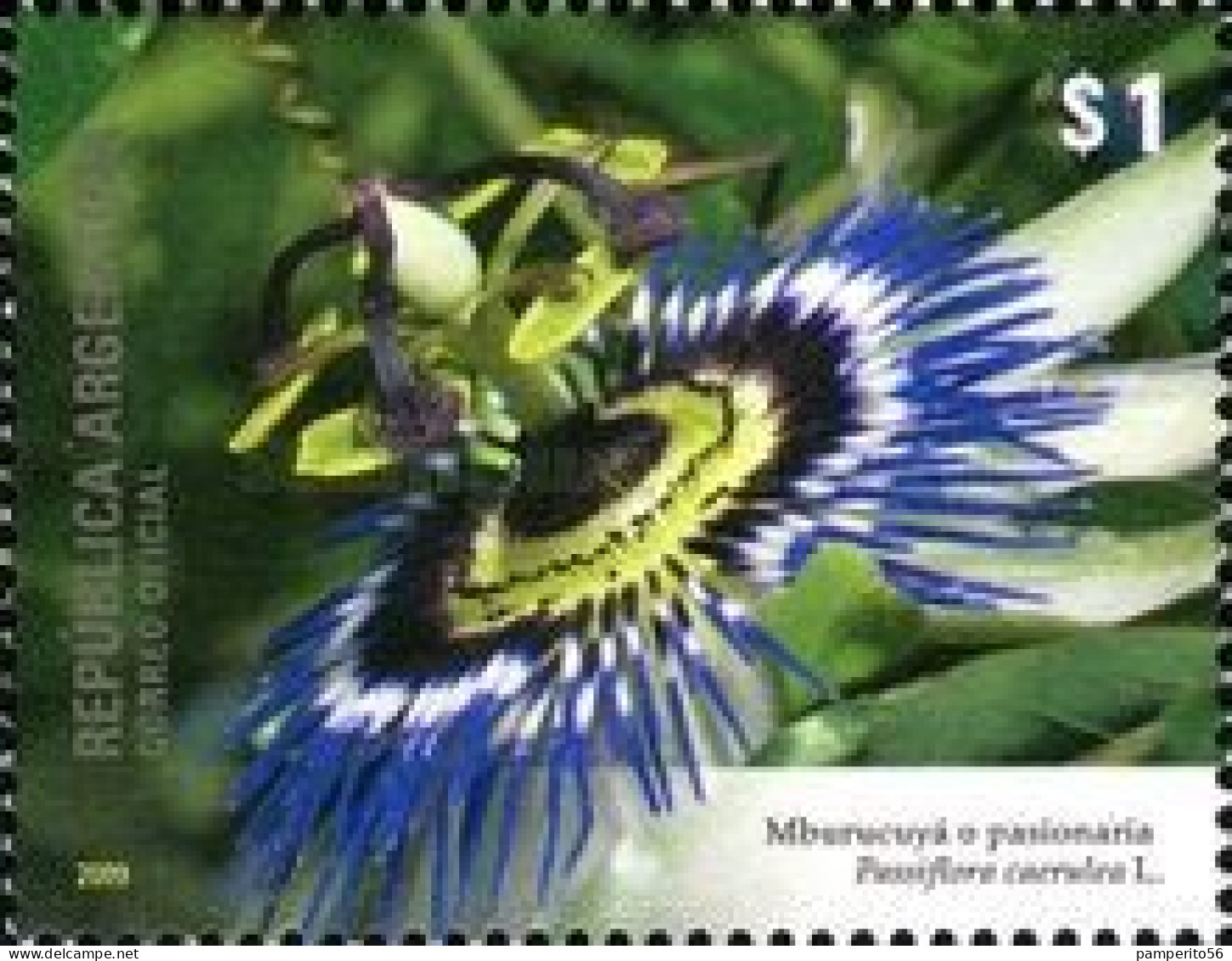 ARGENTINA - AÑO 2009 - Flora Y Fauna. Flor De La Pasionaria - Usada - Used Stamps