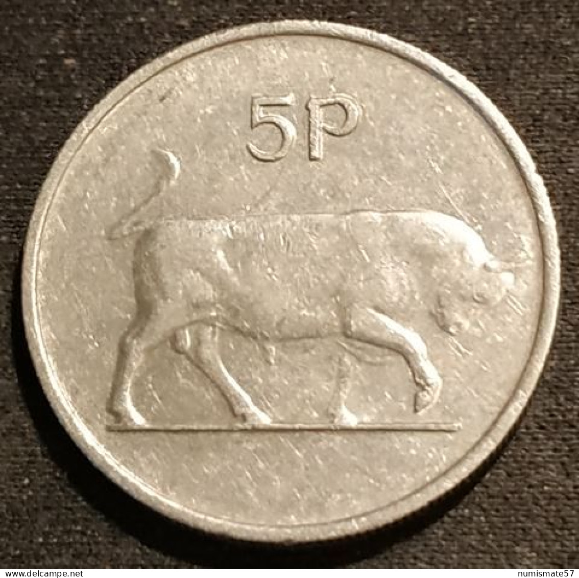 IRLANDE - EIRE - 5 PENCE 1976 - Type Large - IRELAND - KM 22 - Irlande