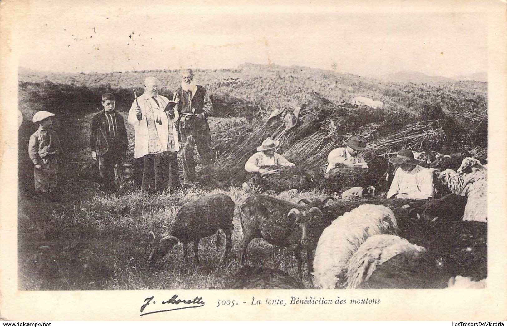 Métier - Paysans - La Tonte - Bénédiction Des Moutons - Animé - Prêtre - J.Moretti  -  Carte Postale Ancienne - Farmers