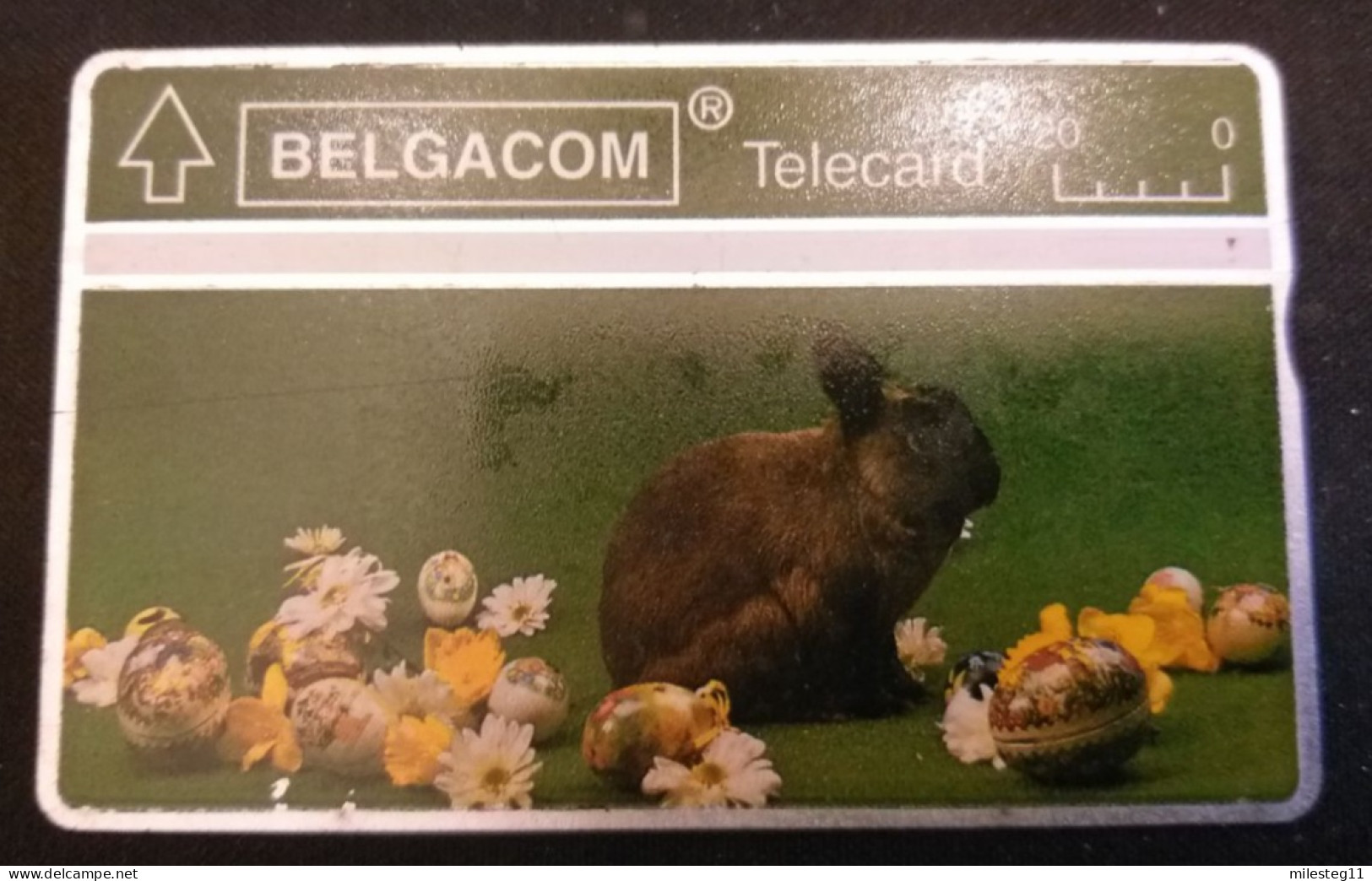 Belgique Télécarte S61 Pâques 303M - Ohne Chip