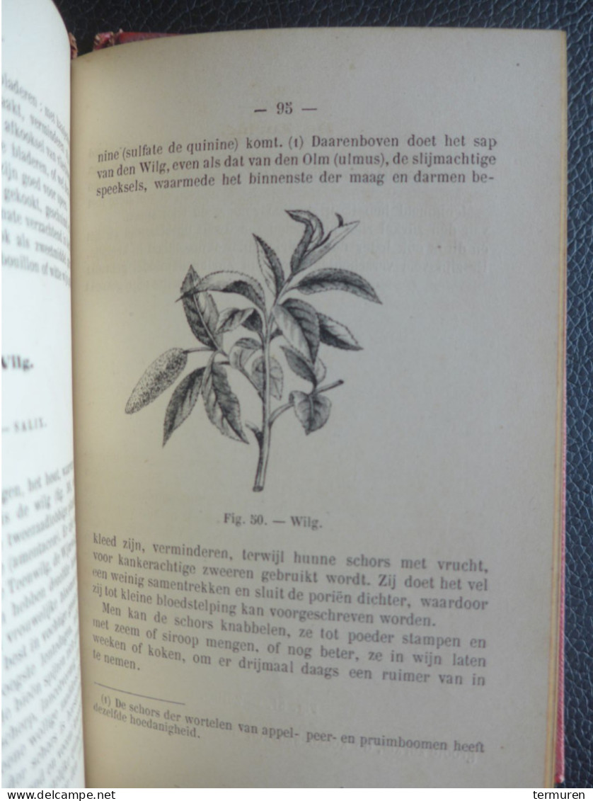 Beervelde : 1880 -Geneeskundige En Giftige Planten ..... F-A Vandevelde ,Hoofdonderwijzer , Versierd Met 100 Gravuren. - Vecchi