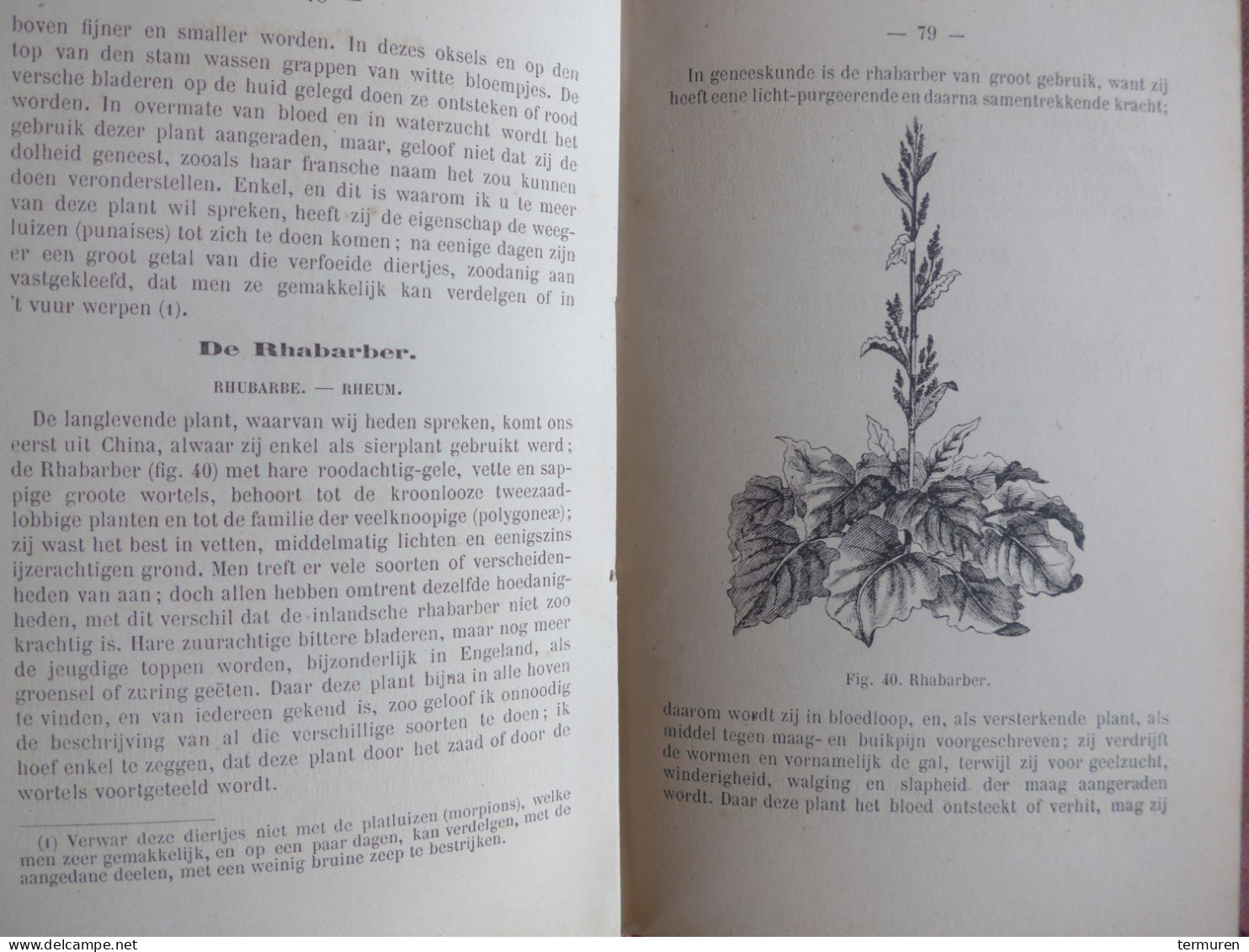 Beervelde : 1880 -Geneeskundige En Giftige Planten ..... F-A Vandevelde ,Hoofdonderwijzer , Versierd Met 100 Gravuren. - Antique