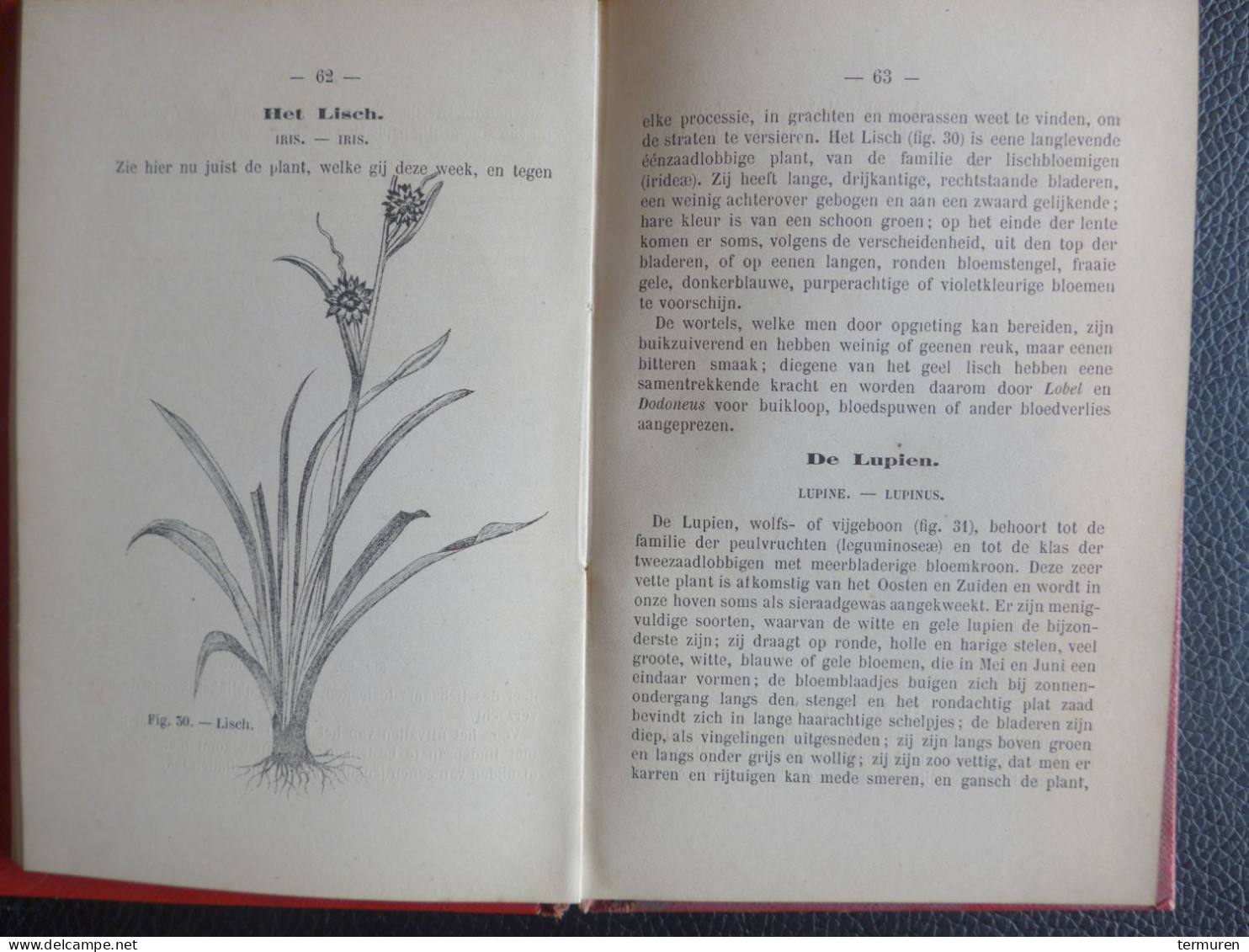 Beervelde : 1880 -Geneeskundige En Giftige Planten ..... F-A Vandevelde ,Hoofdonderwijzer , Versierd Met 100 Gravuren. - Anciens