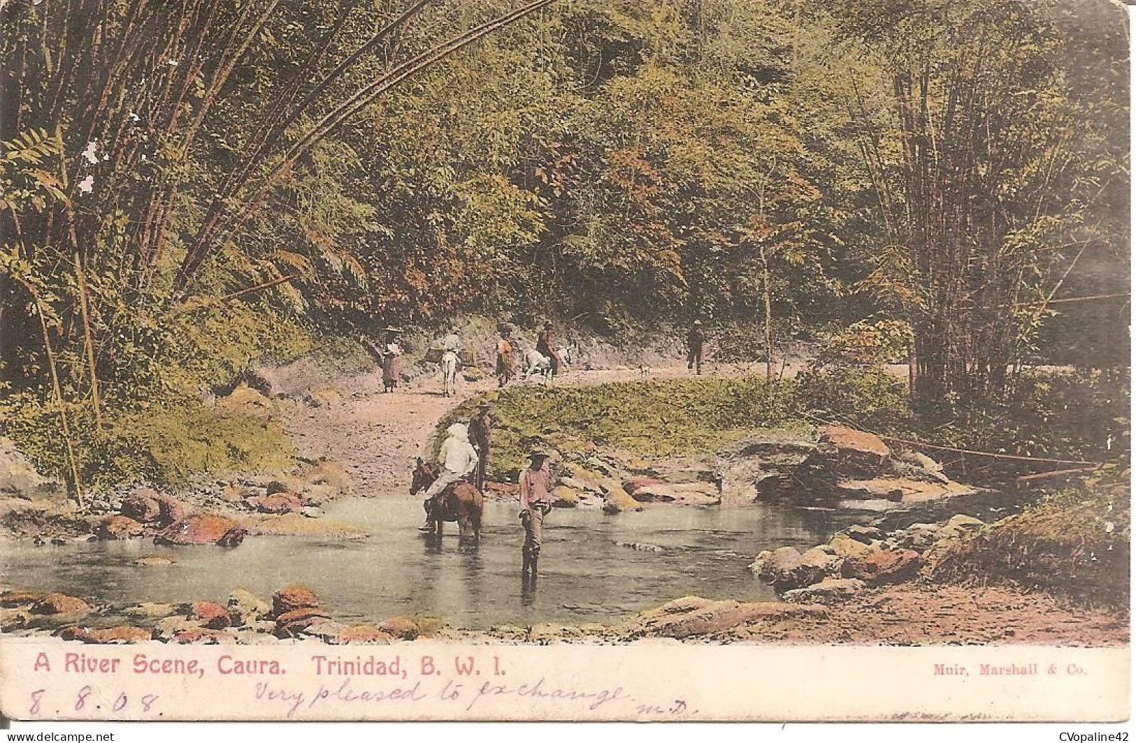 CAURA (TRINIDAD) A River Scene En 1908 - Trinidad
