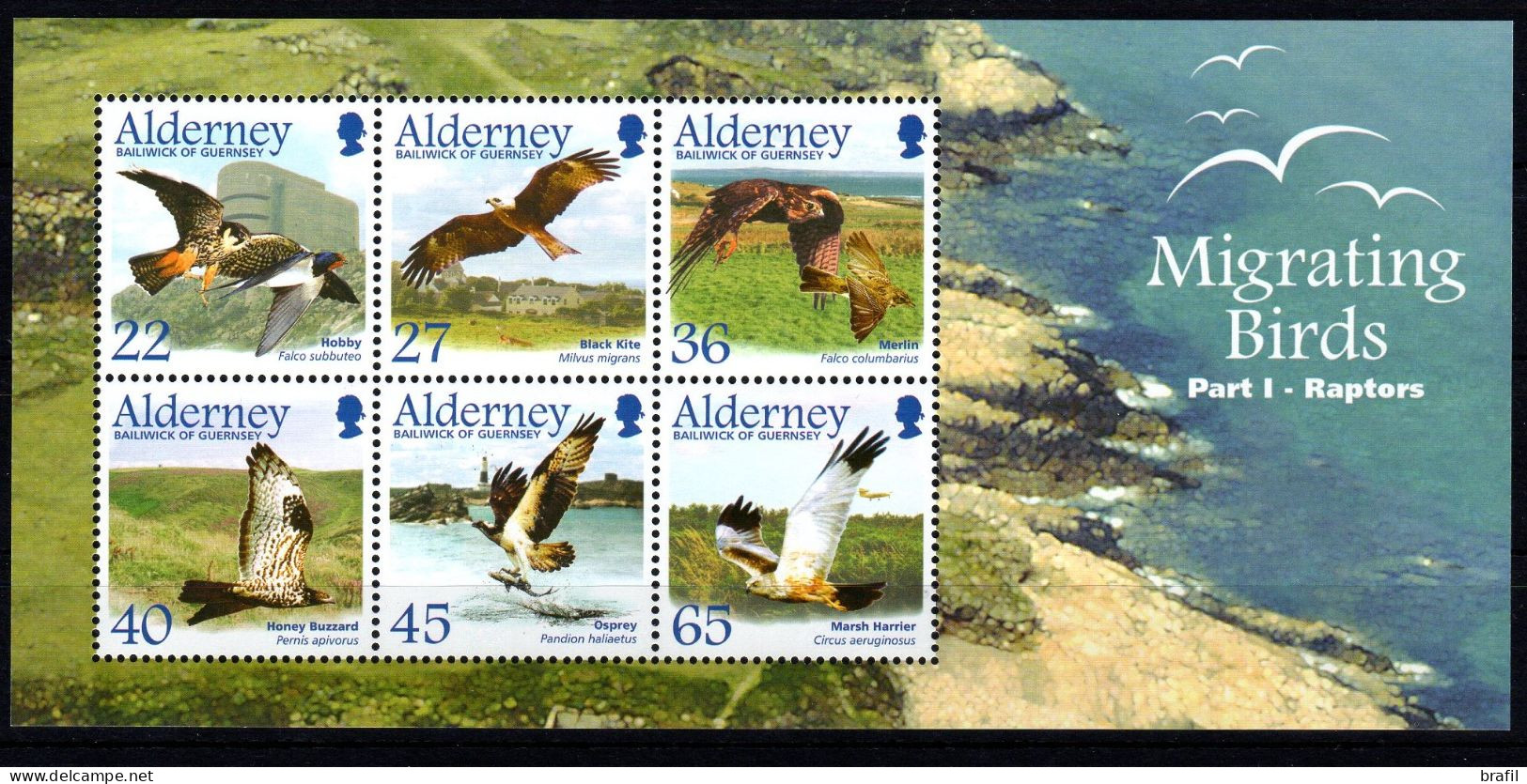 2002 Alderney, Uccelli Migratori Foglietto, Serie Completa Nuova (**) - Alderney