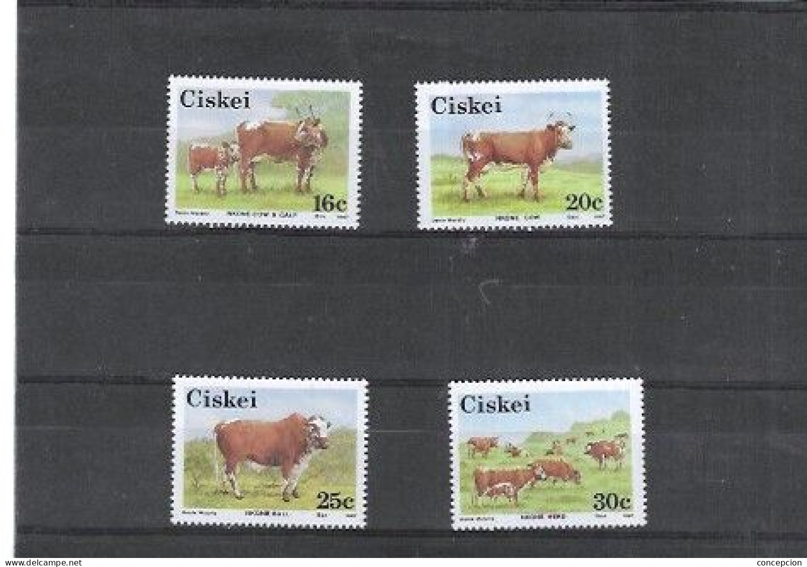 CISKEI Nº 115 AL 118 - Ciskei