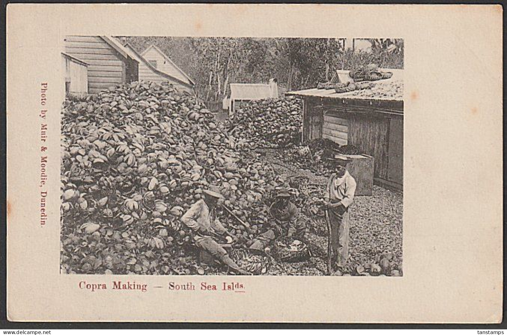 COPRA MAKING SOUTH SEA ISLANDS - Cook Islands