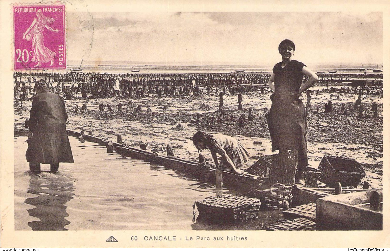 France  - Cancale - Le Parc Aux Huitres - Animé - Mer - Carte Postale Ancienne - Cancale