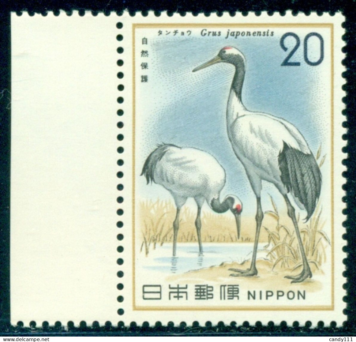 1975 Birds,Red-crowned Crane, Grus Japonensis, Nature Protection, Japan, Mi.1241,MNH - Grues Et Gruiformes