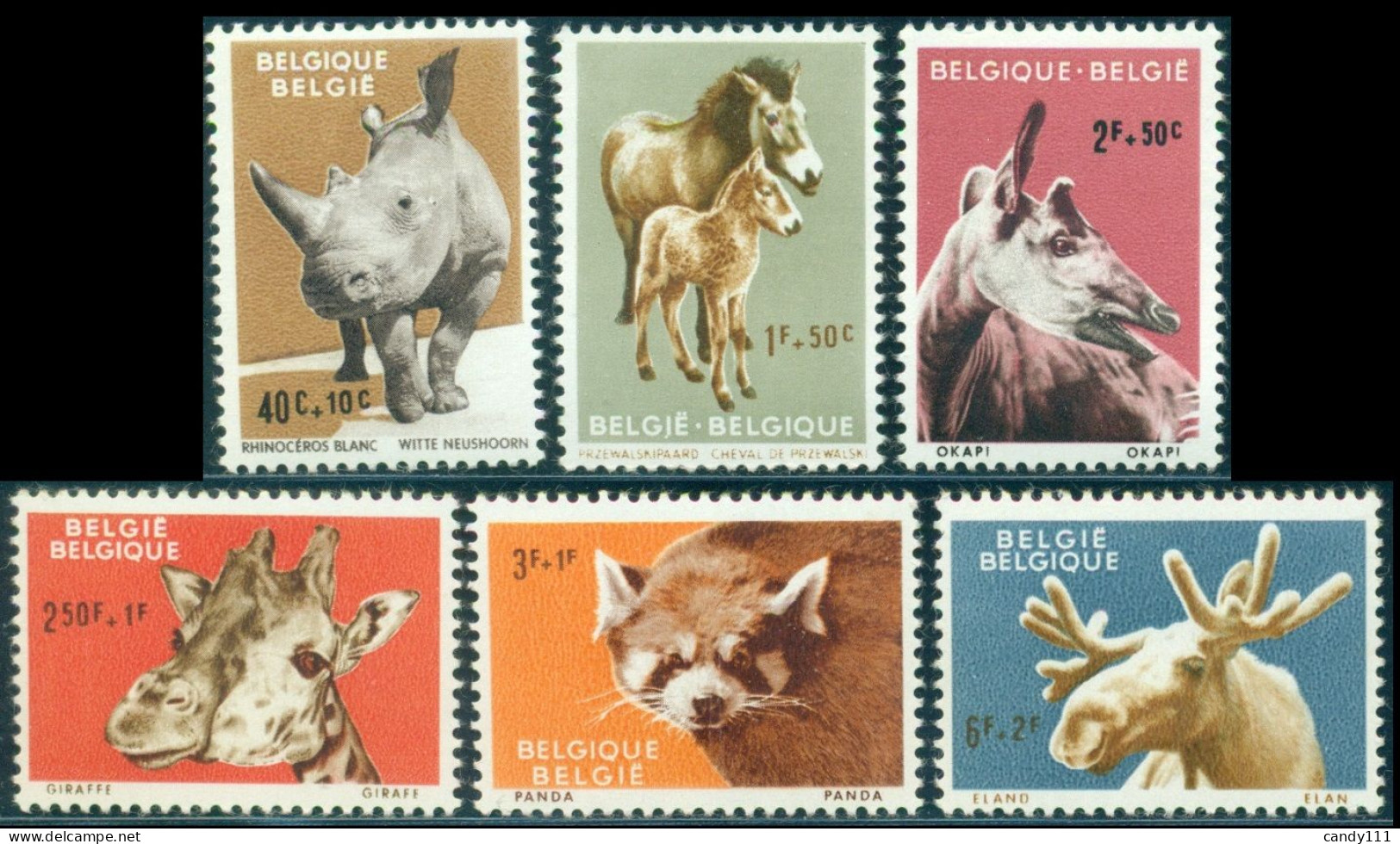 1961 Antwerp Zoo,rhino,horse,Okapi,giraffe,Red Panda,Moose,Belgium,Mi.1242,MNH - Jirafas