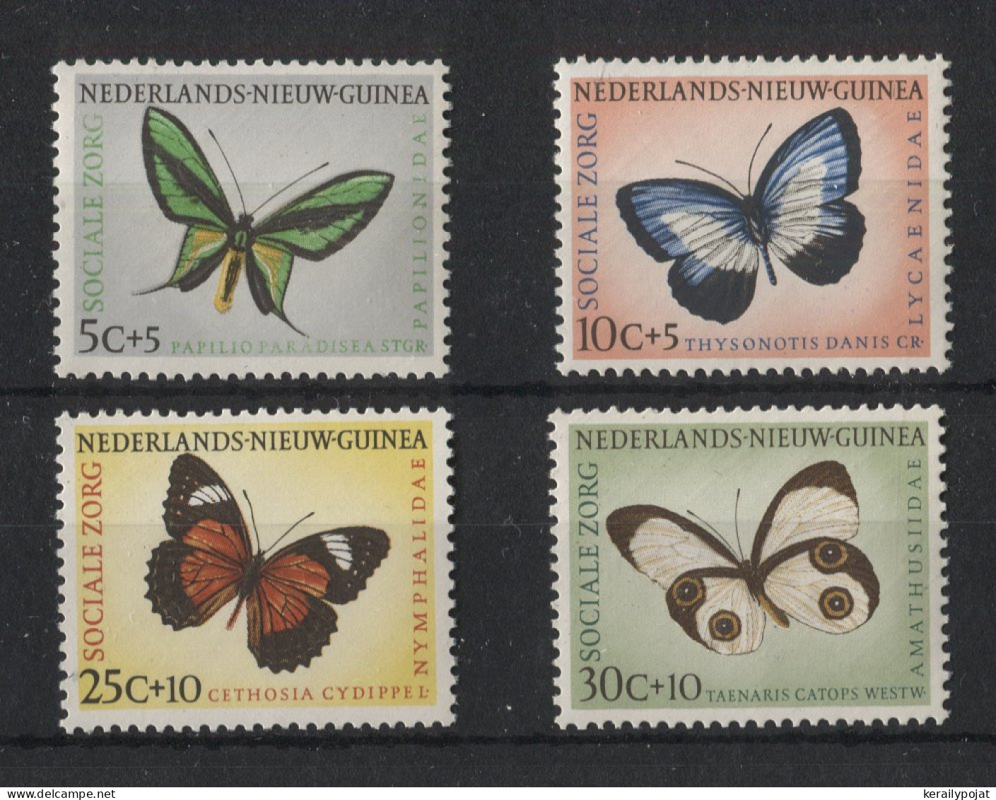 Netherlands New Guinea - 1960 Butterflies MNH__(TH-22238) - Nueva Guinea Holandesa