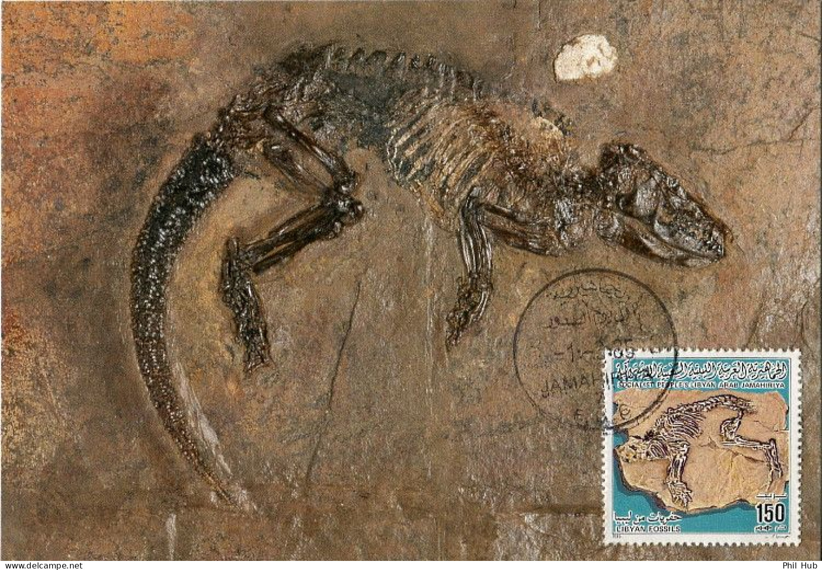 LIBYA 1985 Fossils Mammals (maximum-card) - Fossiles