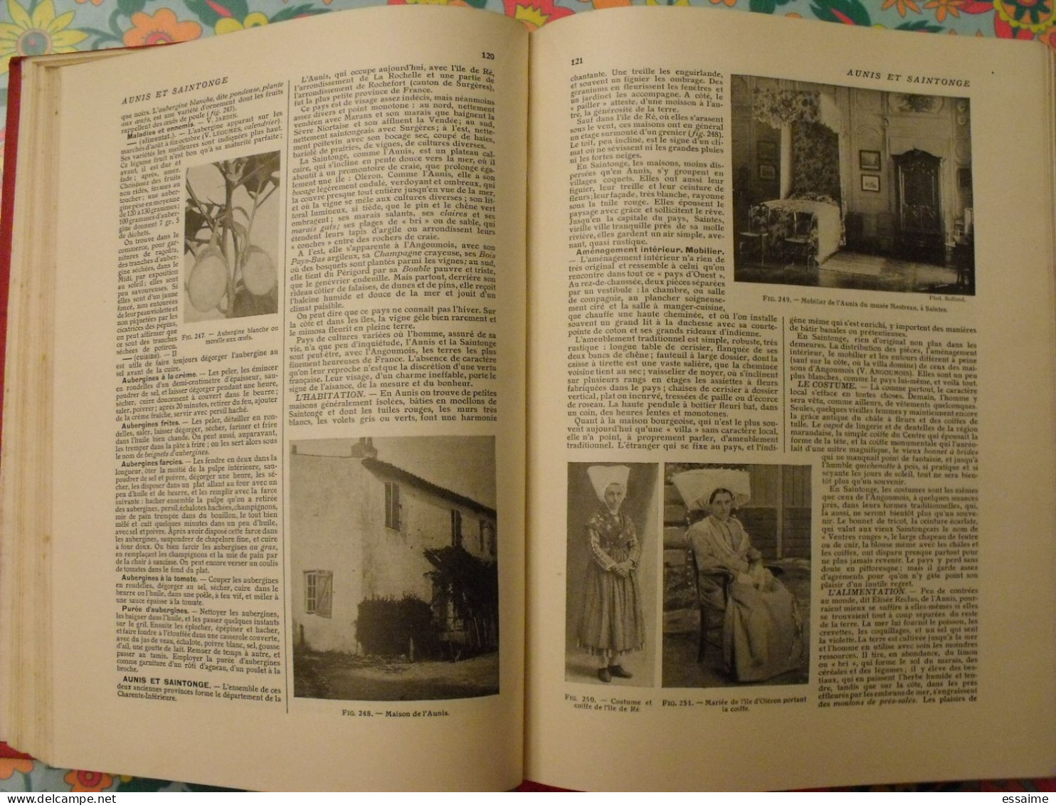 Larousse ménager illustré. dictionnaire de la vie domestique. Chancrin, Faideau. 1937. édition luxe rouge