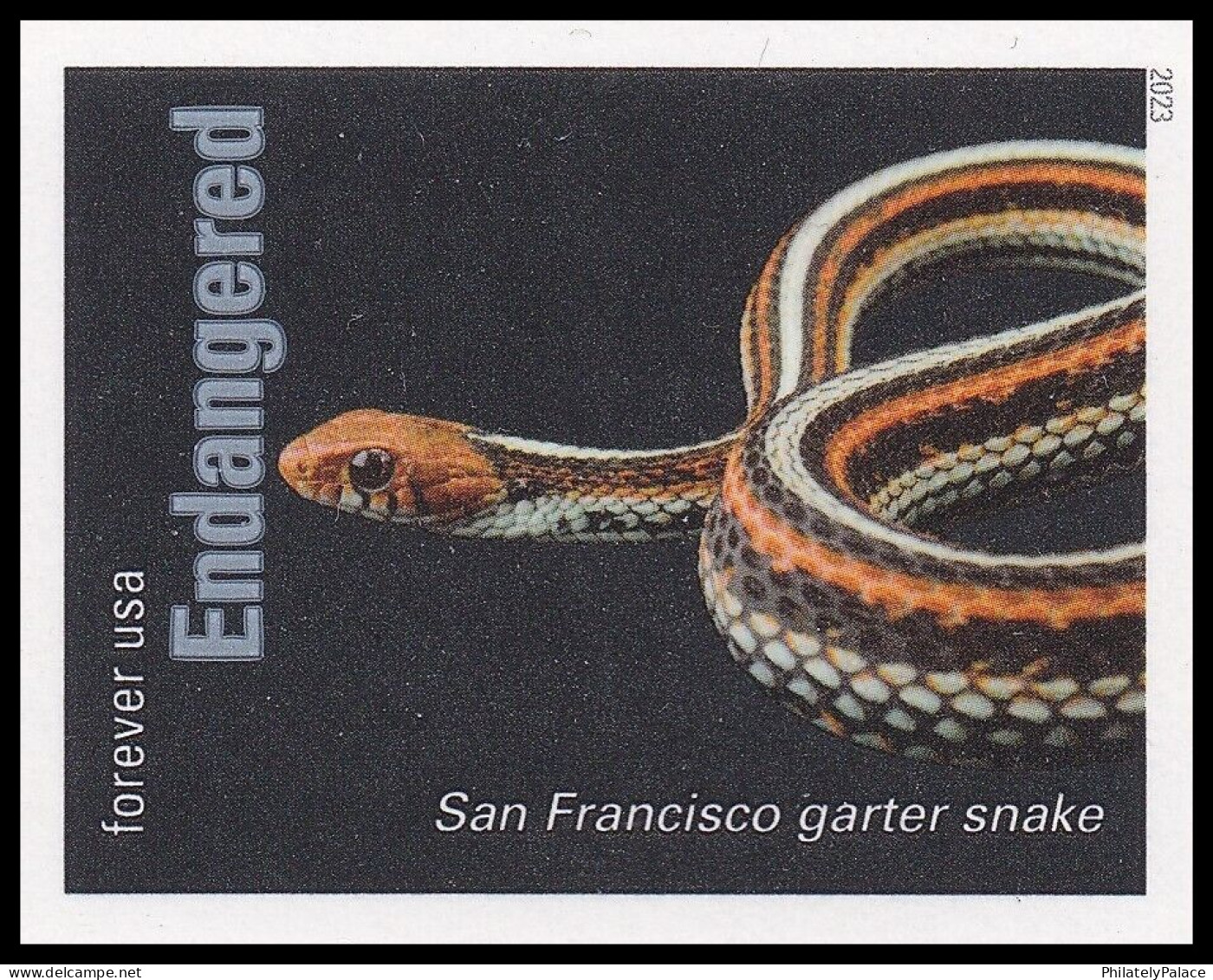 USA 2023 Endangered Species, Reptile,Snake,Fish,Parrot,Frog,Rat,Rabbit,Bird,Panther,Wolf,Quail,20v Imperf MNH RARE