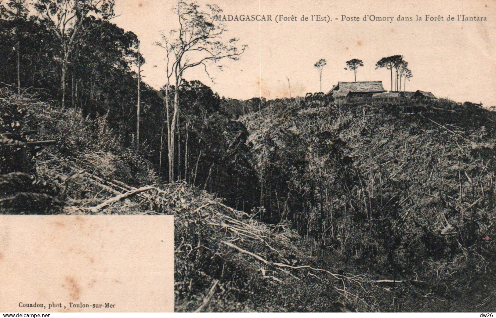 Madagascar (Est) Poste D'Omory Dans La Forêt De L'Iantara - Photo Couadou - Carte Dos Simple Non Circulée - Madagascar