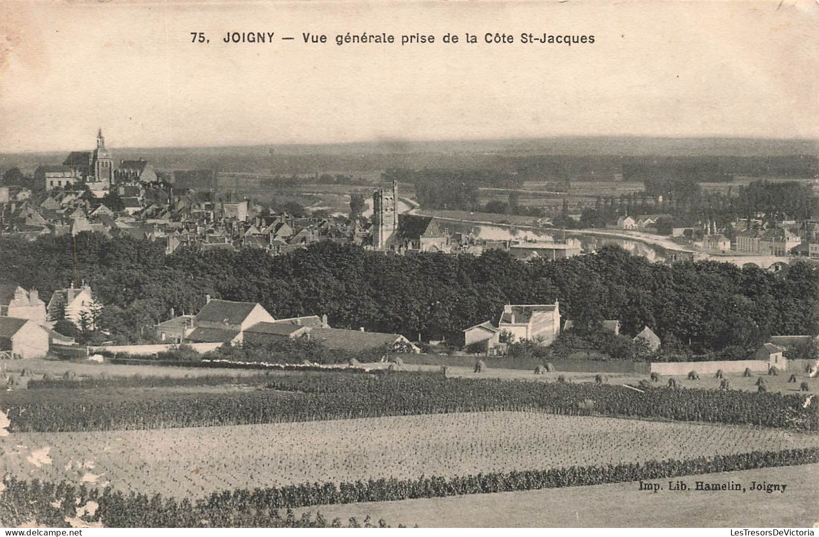FRANCE - Joigny - Vue Générale Prise De La Côte Saint Jacques - Carte Postale Ancienne - Joigny