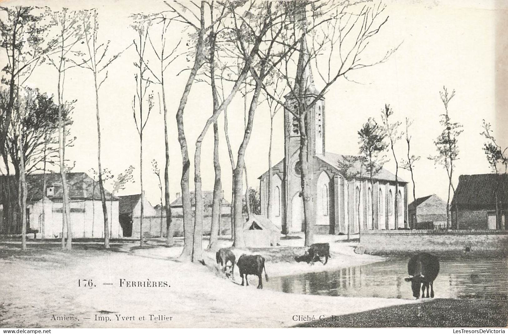 BELGIQUE - Ferrieres - église - Bœufs - Carte Postale Ancienne - Ferrières