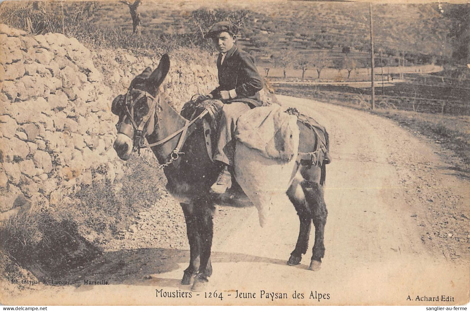 CPA 04 MOUSTIERS / JEUNE PAYSAN DES ALPES - Autres & Non Classés