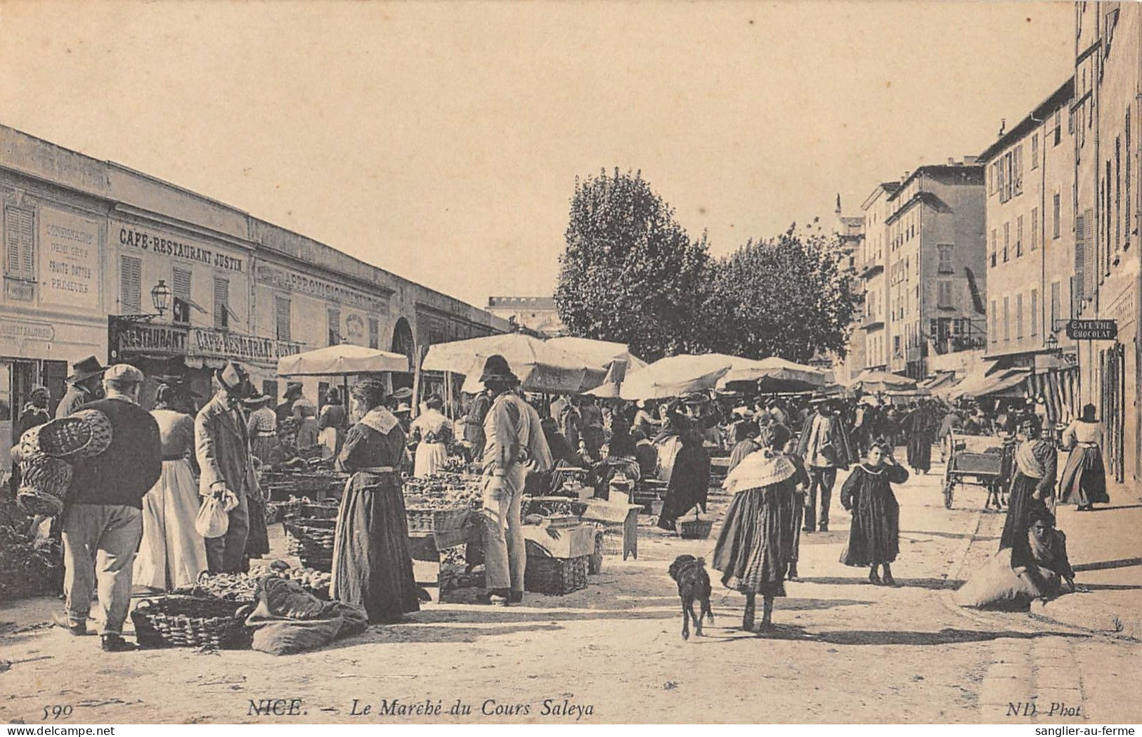 CPA 06 NICE / LE MARCHE DU COURS SALEYA - Autres & Non Classés