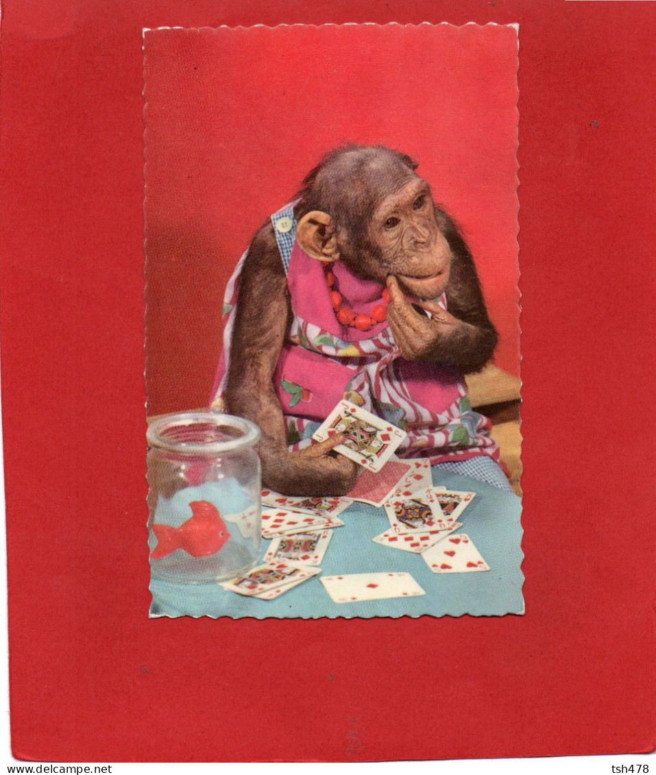 HUMOUR---SINGE ---Jeux De Cartes---voir 2 Scans - Singes