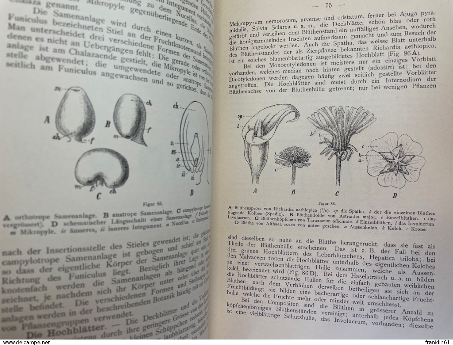 Lehrbuch Der Botanik. - Natura