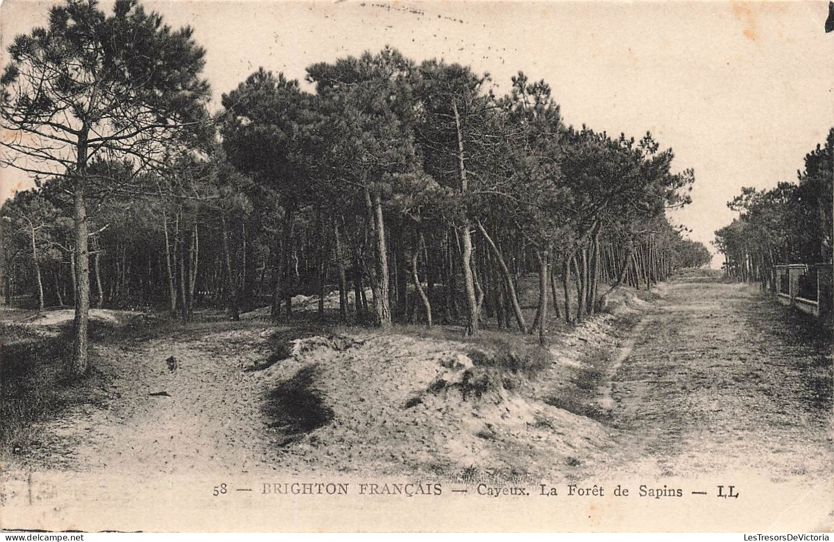 FRANCE - Cayeux - Brighton Français - La Forêt De Sapins - LL - Carte Postale Ancienne - Cayeux Sur Mer