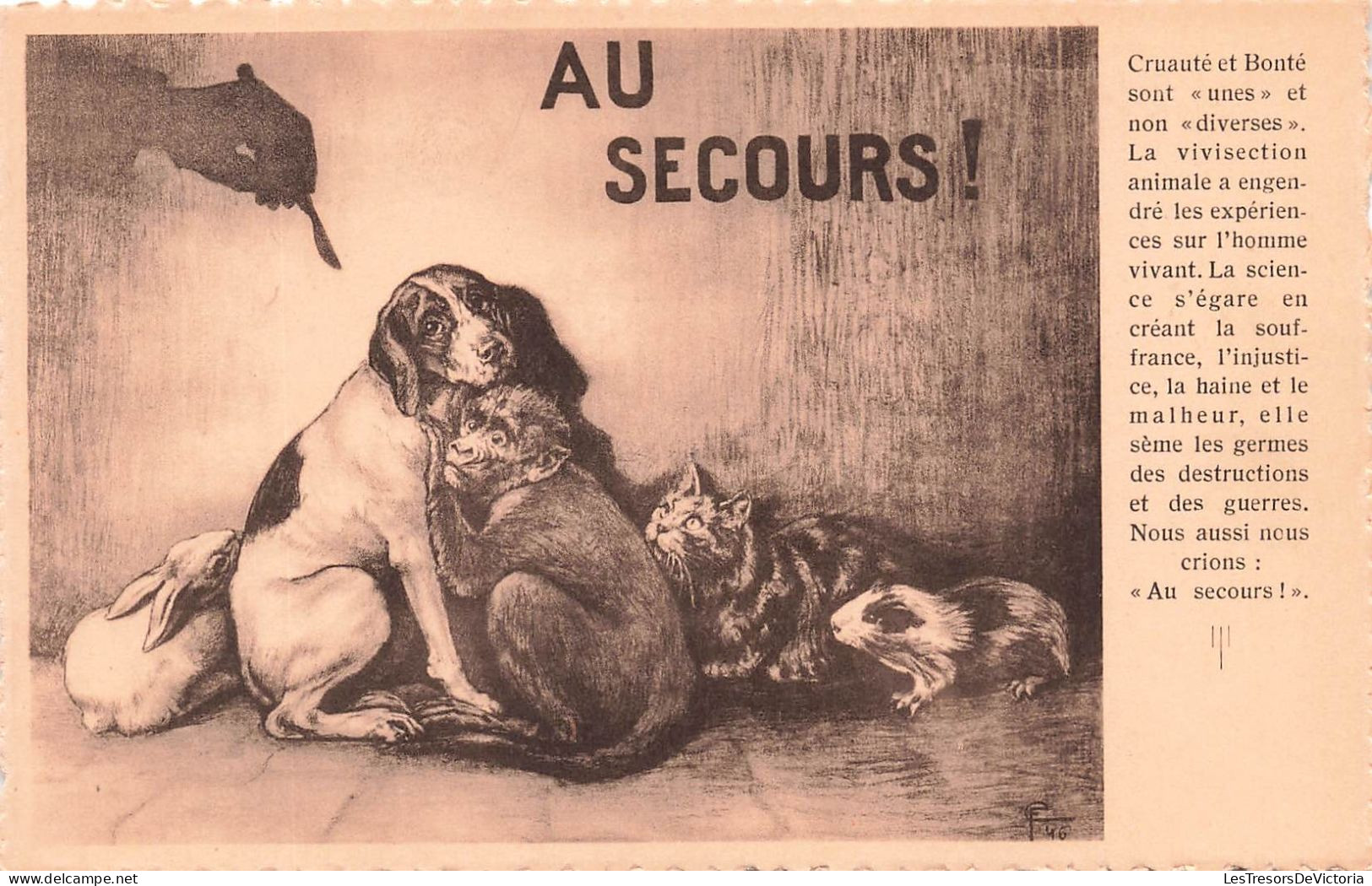 ANIMAUX & FAUNE - Au Secours - Chien - Chat - Singe - Cochon-dinde - Carte Postale Ancienne - Other & Unclassified