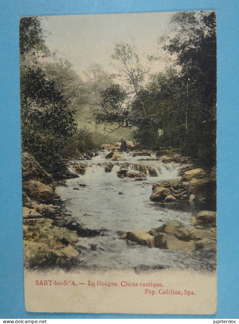 Sart-lez-Spa La Hoëgne Chêne Rustique (colorisée) - Jalhay