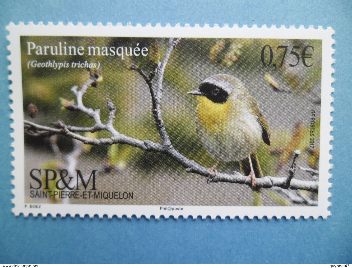 SPM 2017 Y/T 1175 " Oiseaux " Neuf*** - Unused Stamps