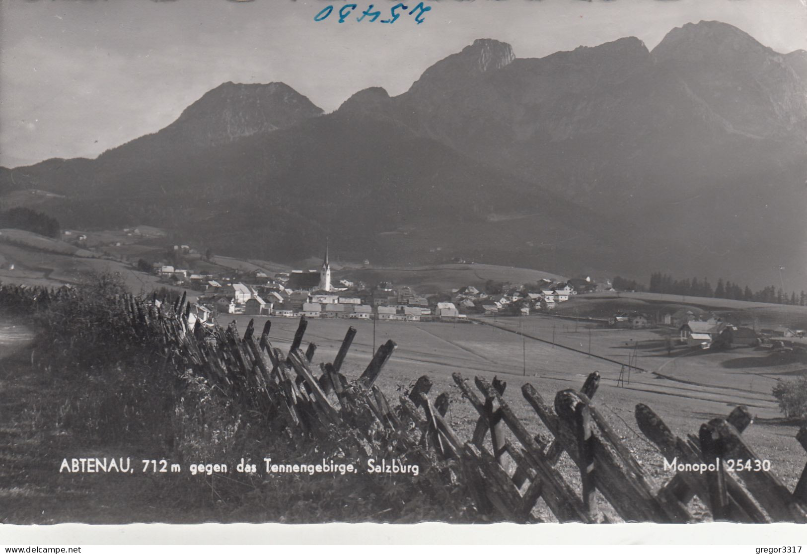 D9878) ABTENAU - 712m - Salzburg - Gegen Das Tennengebirge über Zaun Ggesehen - Tolle S/W FOTO AK - Abtenau