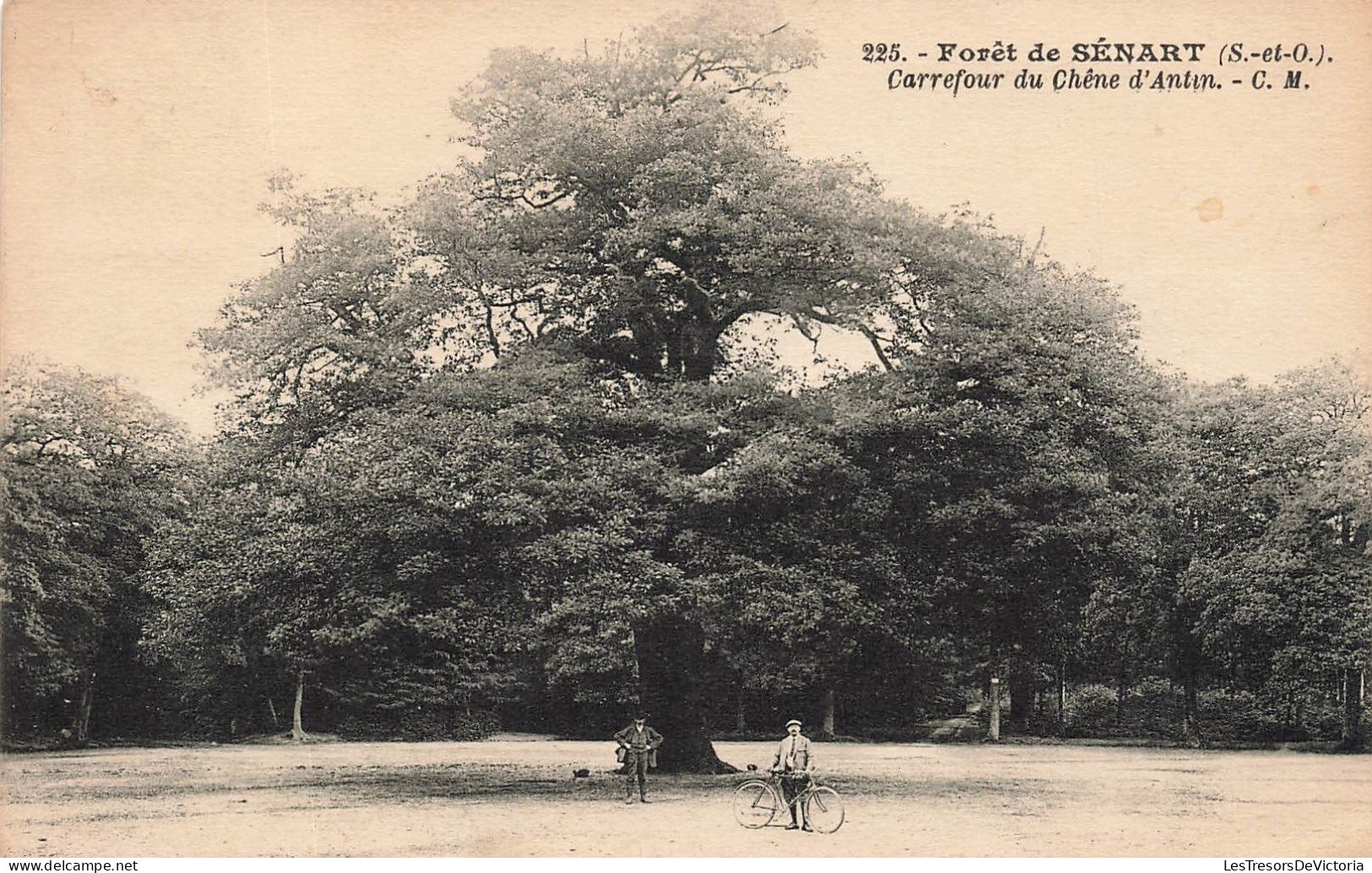 FRANCE - Sénart - Forêt De Sénart - Carrefour  Du Chêne D'Anin - C.M - Carte Postale Ancienne - Sénart