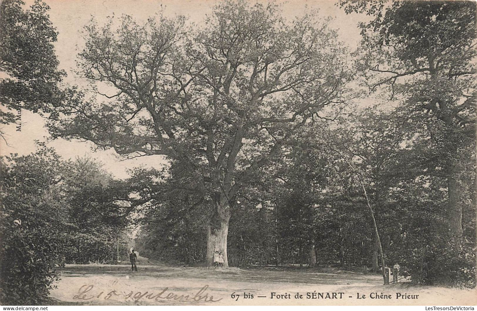 FRANCE - Sénart - Forêt De Sénart - La Chêne Prieur - Carte Postale Ancienne - Sénart