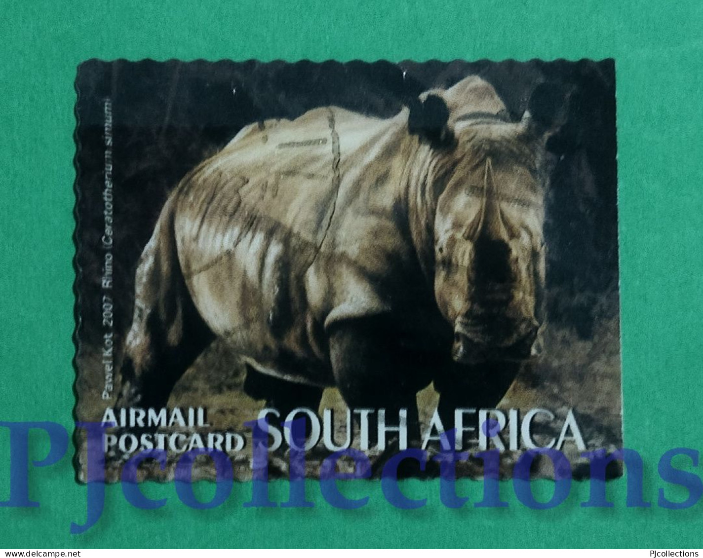 S831- SUD AFRICA - SOUTH AFRICA 2007 RINOCERONTE - RHINO AIRMAIL POSTCARD USATO - USED - Oblitérés