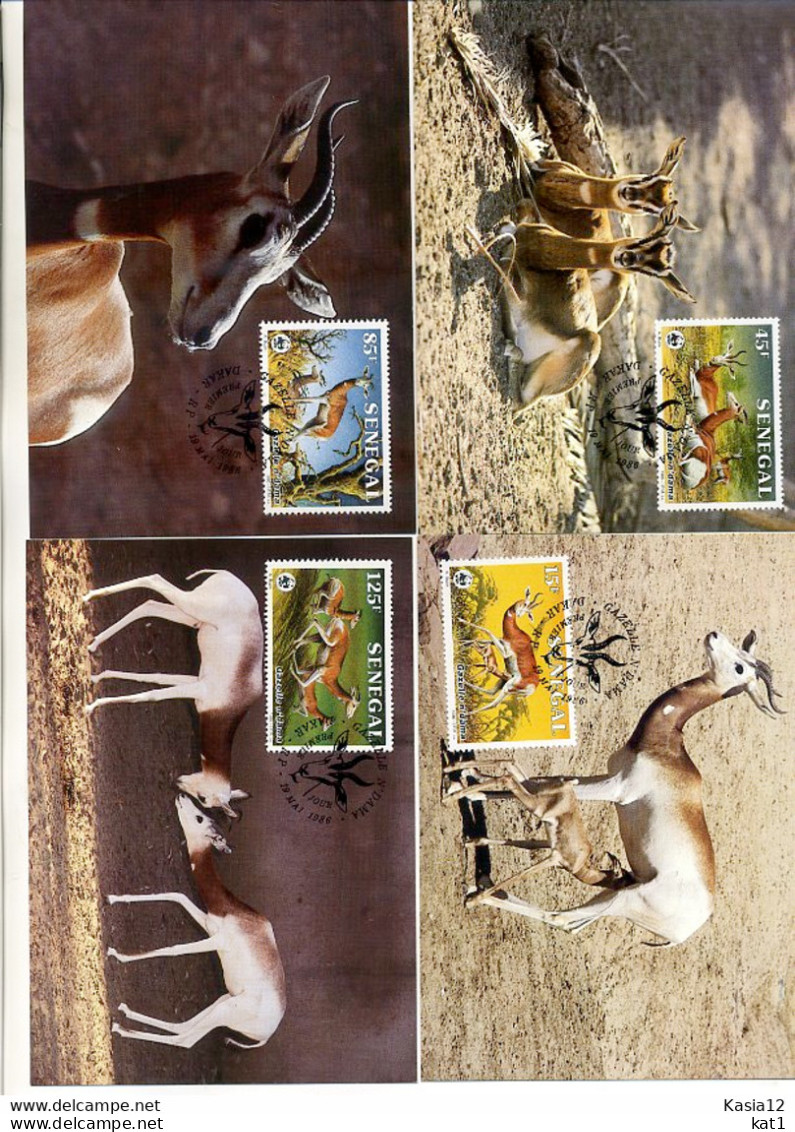 A41513)WWF-Maximumkarte Sauegetiere: Senegal 875 - 878 - Cartes-maximum