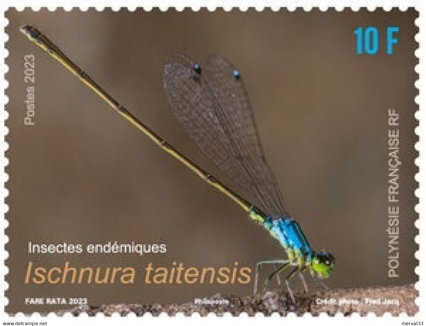 Polynésie 2023 - Insectes Endémiques - Ischnura Taitensis - Ungebraucht