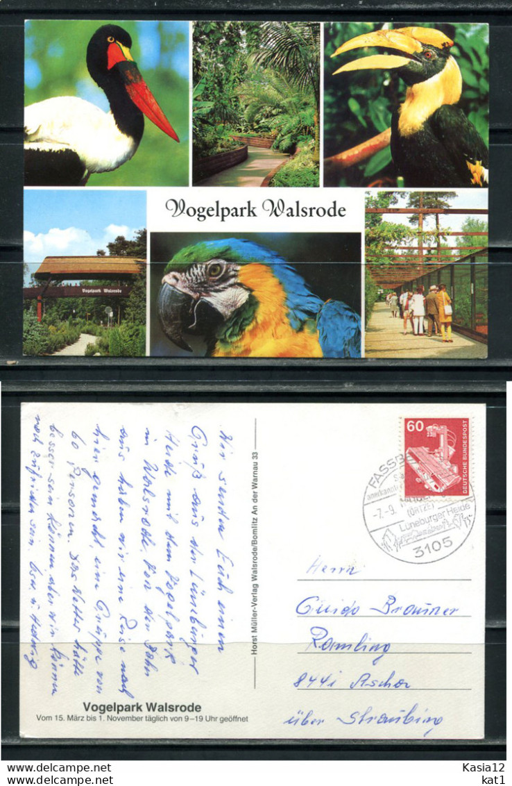 K13170)Ansichtskarte: Walsrode, Vogelpark, Gelaufen 1982 - Walsrode