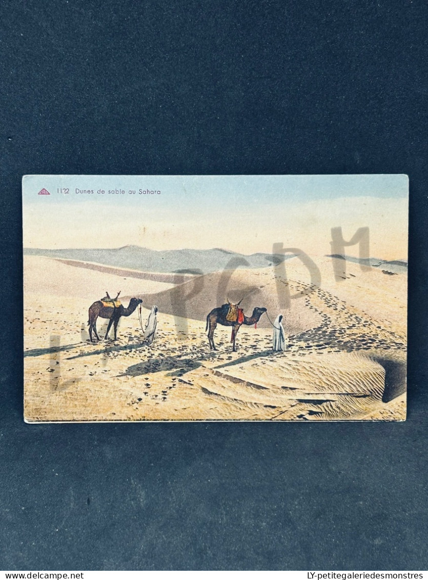 °CPA23 Dunes De Sable Au Sahara 1919 - Westsahara