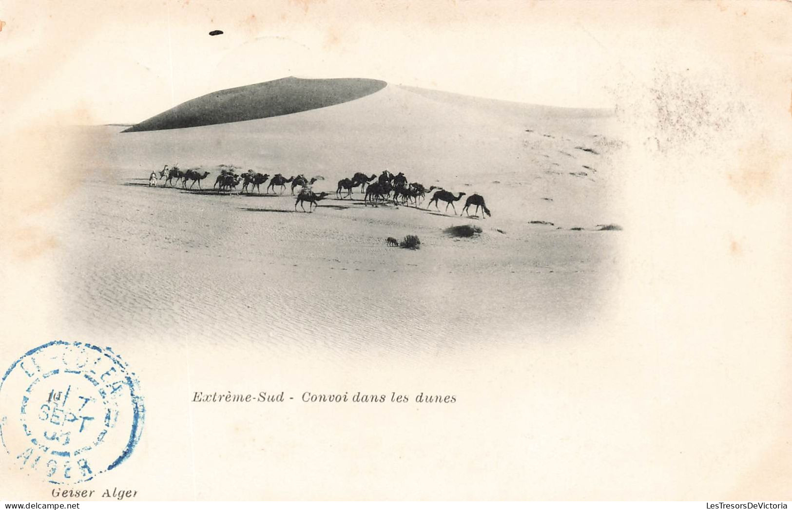 ALGERIE - Extrême Sud - Convoi Dans Les Dunes - Carte Postale Ancienne - Autres & Non Classés