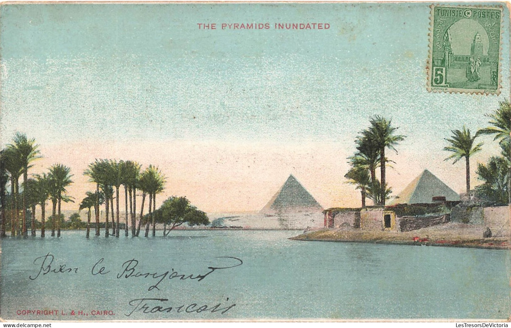 EGYPTE - Vue Sur Les Pyramides Inondées - Colorisé - Carte Postale Ancienne - Pyramiden