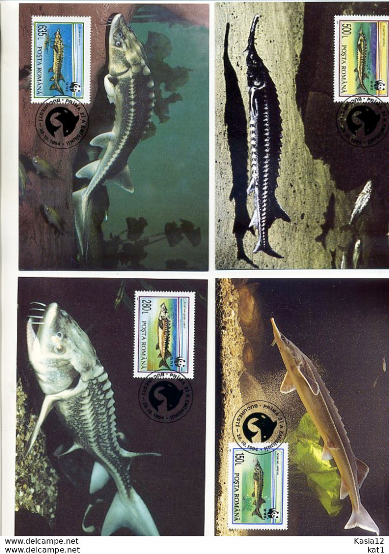 A41557)WWF-Maximumkarte Fische: Rumaenien 5034 - 5037 - Cartes-maximum