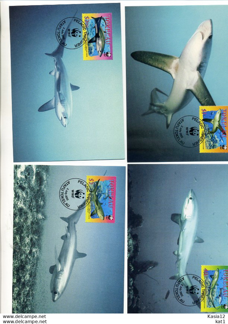 A41566)WWF-Maximumkarte Fische: Tokelau 322 - 325 - Cartes-maximum