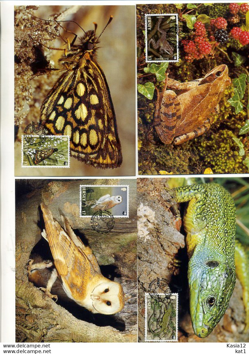 A41580)WWF-Maximumkarte Reptilien: Jersey 480 - 483 - Cartes-maximum